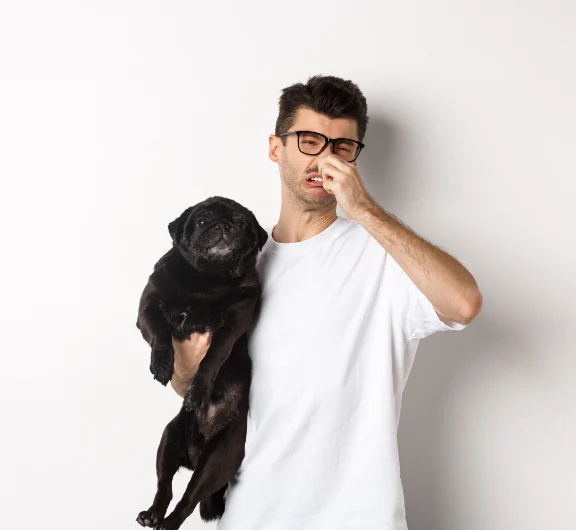 blähungen beim hund