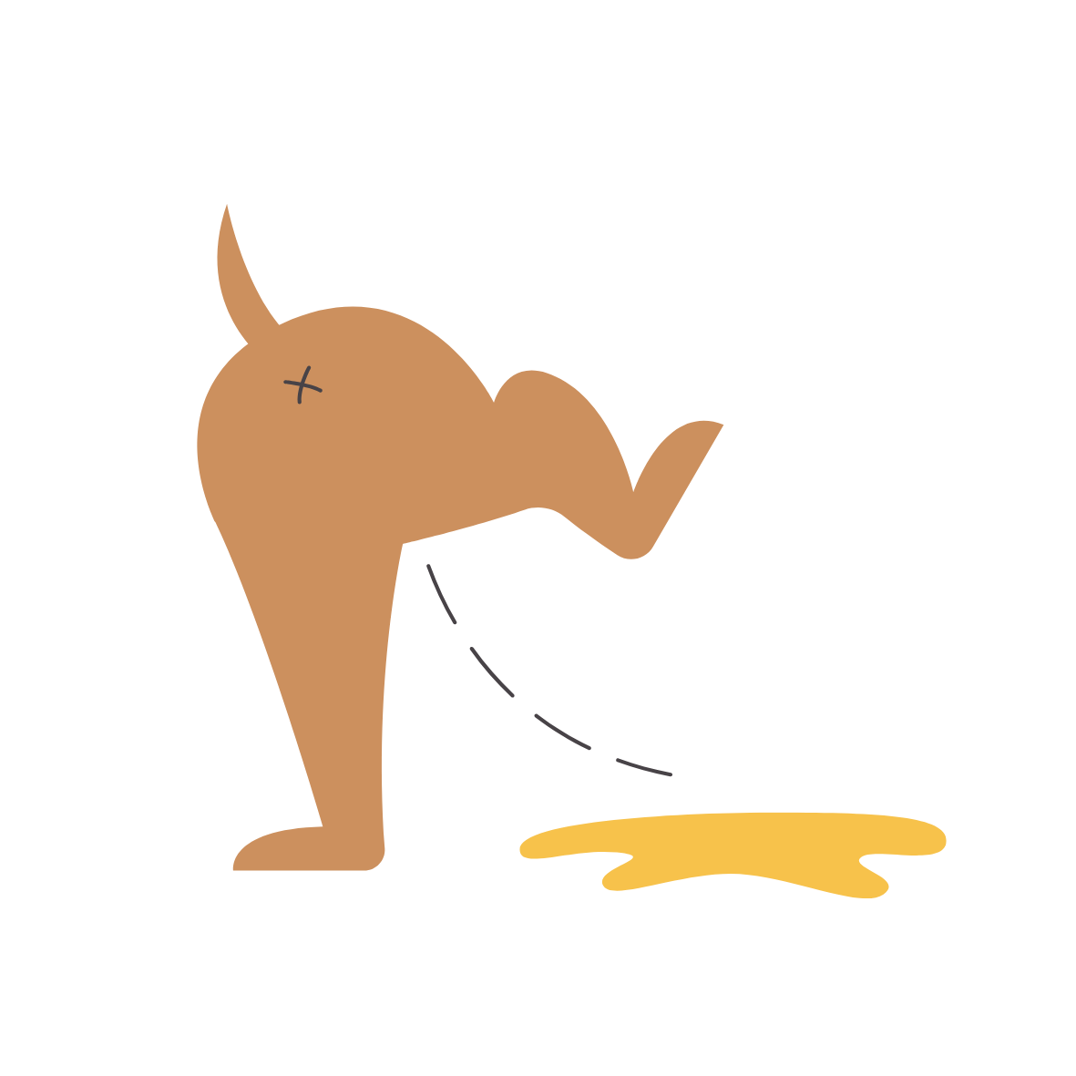 Leptospirose Hund infizierte Artegenossen